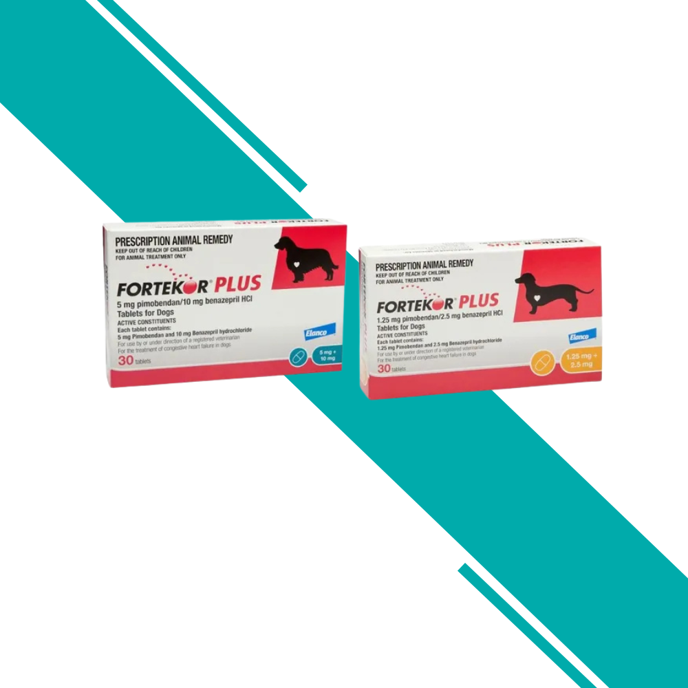 Fortekor Plus Tablets for Dogs